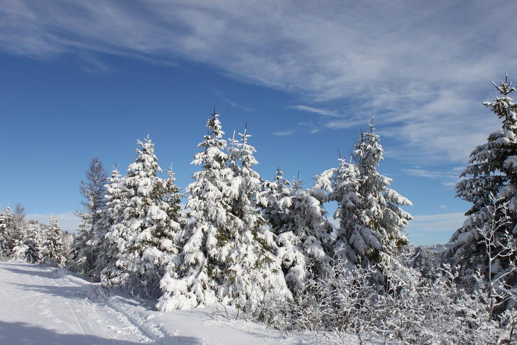 Rifugio Verenetta Casere Verena エクステリア 写真
