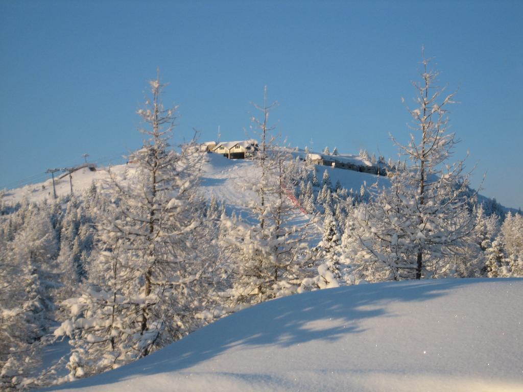 Rifugio Verenetta Casere Verena エクステリア 写真